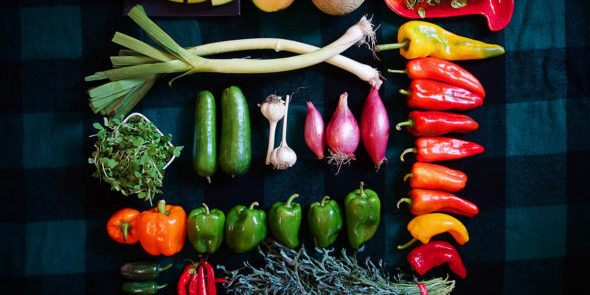 DSC04303_1200-590×495