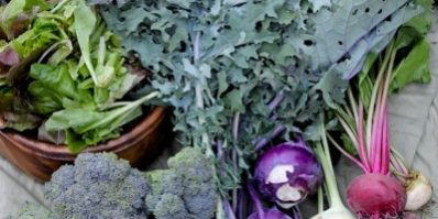 week4csa-399×600