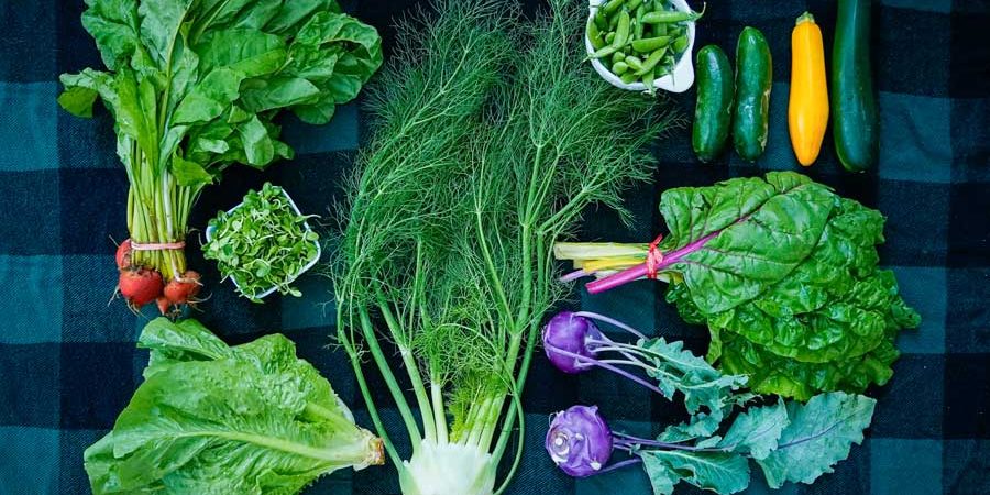 csa week 5 vegetables