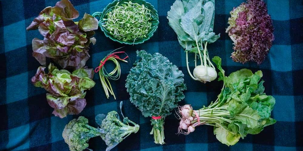 photo of week 3 CSA box