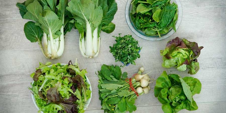 CSA Box Veggies Week 2 of 2020