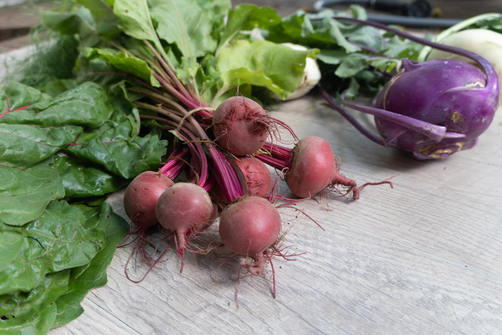 Week 6 2021 Csa Season Kyle Thom