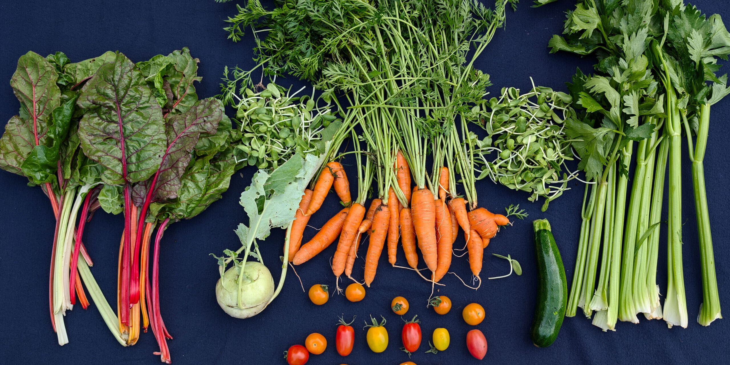 PXL_20240702_224356566