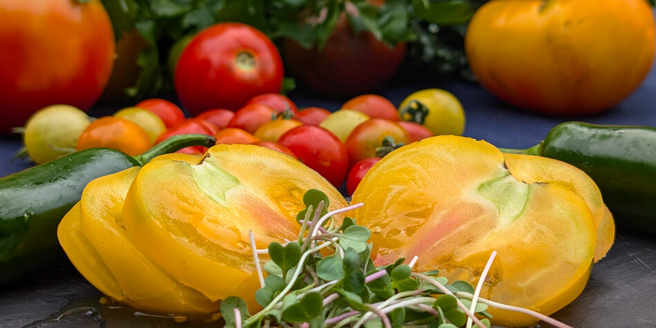 PXL_20240820_213013532